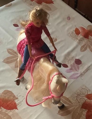Pferd mit reiter barbie - reiter,